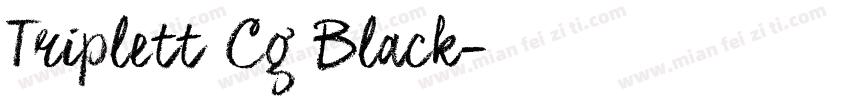 Triplett Cg Black字体转换